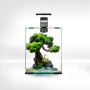 Aquael Set Crevettes Smart D&N 10 Noir ECOM