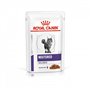 Royal Canin Expert Neutered Balance | Pack Double | 2 x 12 x 85 g | Aliment Complet pour Chats | Nourriture Humide pour Chats Ad