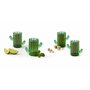 Excelsa Cactus Lot de 4 verres à liqueur en verre