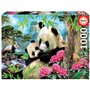 Educa - Puzzle de 1000 pièces pour Adultes | Pandas. À partir de 14 Ans (17995)