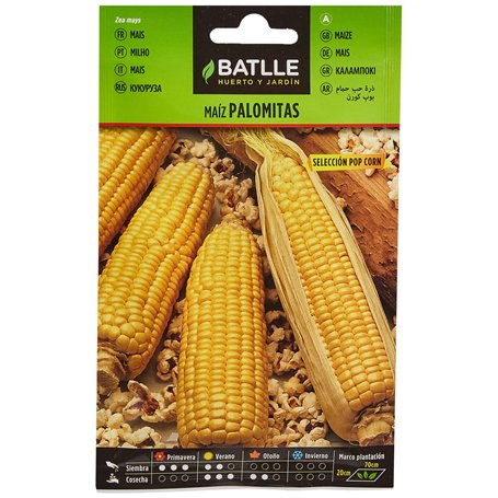 Semillas aromáticas de Battle - Maíz Palomitas Pop Corn (12g)