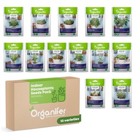 Paquet De Graines De Plantes D’Intérieur - Graines De Plantes D’Intérieur - Graines De Plantes - Plantes À Graines - Mélange De