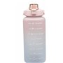 Bouteille d'eau Lifetime 2 L Plastique
