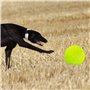 SZCXDKJ Balle de tennis surdimensionnée de 24.1 cm pour enfants et adultes,Balle de tennis amusante pour animal domestique,Pour