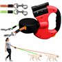 Laisse Chien Enrouleur