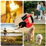 Laisse Chien Enrouleur, 300CM Laisse Rétractable Pour Chien, Laisse Pour Chien Rétractable, Laisse Double Pour Chien, Laisse Enr