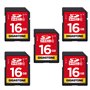 GIGASTONE 16Go SDHC Carte Mémoire