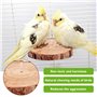 Perchoir Perroquet en Bois Naturel, 8 Pièces Perchoir Oiseaux Jouet Perroquet pour Accessoires de Cage à Oiseaux Perruche Canari