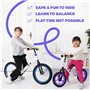 Bixe Vélo d'Équilibre en Aluminium pour Enfants - Draisienne 12 Pouces Velo sans Pedale Entraînement Sportif - Vélo Enfants de 1