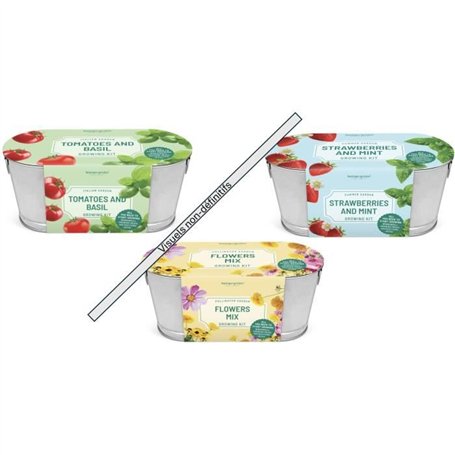 Mon premier jardinage - SILVERLIT - MA JARDINIeRE - BOUTIQUE GARDEN - Des 3 ans