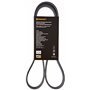 Continental Contitech 6PK1244 Courroie trapézoïdale à nervures