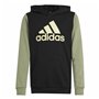Sweat à capuche homme Adidas Essentials Vert