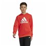 Sweat à capuche enfant Adidas Big Logo Essentials Rouge