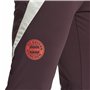 Pantalon de sport long Adidas Fc Bayern 24/25 Tiro24 Marron Bordeaux Homme