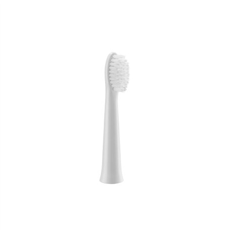 Rechange brosse à dents électrique Panasonic WEW0972W503