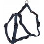 Flamingo Harnais pour Chien H Ziggi Bleu foncé S - Réglable en continu - avec Anneau pour Attacher Une Laisse - avec Boucle à cl