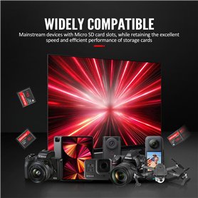 Sablage Noyer Grain 16/30 0