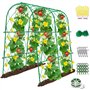 Grande grille de concombre de jardin en métal de 5 m avec treillis pour plantes grimpantes