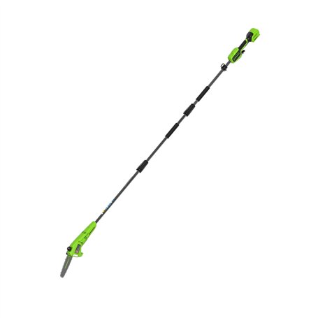 Greenworks Élagueuse sur perche sans fil 24 V 20 cm
