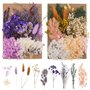 Bohoman Fleurs séchées naturelles 2 sacs à fleurs séchées pressées fleurs séchées vraies fleurs séchées pour résine feuilles flo