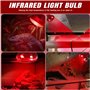 Udbrud Reptile Ampoules Chauffantes, 2 Pièces 100W Lampe Chauffante E27 Infrarouge Dimmable Durable Chaleur Lumière pour Dragon