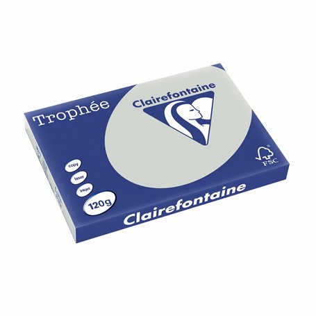 Clairefontaine Trophee 1274C Ramette de papier pour imprimante/photocopieur Couleurs pastel DIN A3 120 g Gris acier 1 ramette