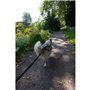 Longe de traction pour chien - CLASSICA - 1.9 m - Chiens jusqu'a 25 kg