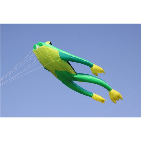 Wolkenstürmer Fritz The Frog Cerf-Volant Simple Ligne sans perches