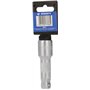 BRILLIANT TOOLS BT022912 Rallonge pivotante 1/2", 75 mm [Powered by KS TOOLS]