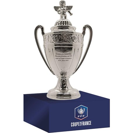 Coupe de France en 3D sur Socle en Bois (Version 150mm)