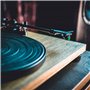 Audio-Technica LPW40WN Platine Vinyle Manuelle à Entraînement par Courroie Noyer