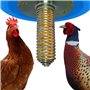 Doblit Lot de 2 mangeoires en spirale robustes avec ressort à fixer sur une mangeoire pour poulets, poules, volailles sauvages e