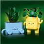 LEGO Botanicals 10349 Petites Plantes Souriantes - Jeu de construction pour fille, 9 ans