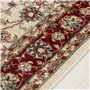 Carpeto Rugs Tapis Salon Motif Fleur Oriental - Tapis Grande Taille de Chambre Adulte Moderne à Poils Ras - Moquette pour Chambr