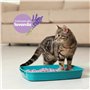 Aqpet Friends Litière CattyGreen Sable pour Chats au soja Naturel d'origine végétale Parfum Lavande