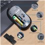 Ewent EW3218 Souris sans Fil Optique 800/1200/1600 DPI, Click Silencieux, Récepteur Nano USB-A, Interrupteur on/Off, Noir