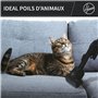 Hoover HE721PAF Aspirateur Traineau Avec Sac 6L XL, Brosses Sols Durs, Tapis et Parquet, Brosse Spécial Animaux, Détecteur de po