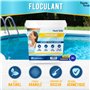 Puerto Verde • Floculant Naturel 20 Traitements. Clarifiant pour Les Grandes Piscines et Les Spas. Éliminateur de Turbidité pour