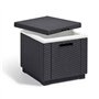 Keter Glaciere Ice Cube Graphite 405981