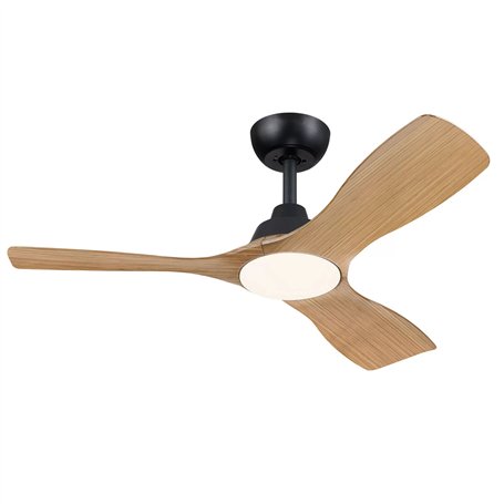 Ventilateur de Plafond Philips Noir Bois 28 W 25
