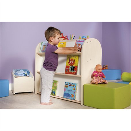 Petite biblioth¿que biface - bouleau