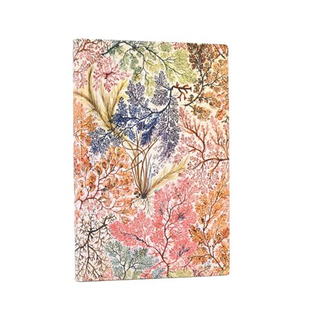 Carnets Flexis William Kilburn Anemone Mini LIG. 208pg.