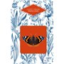 Le Petit livre des papillons