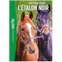 L'Etalon noir 14 NED - Un rival pour l'étalon noir