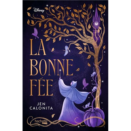 Disney Enchanters T1 : La Bonne Fée