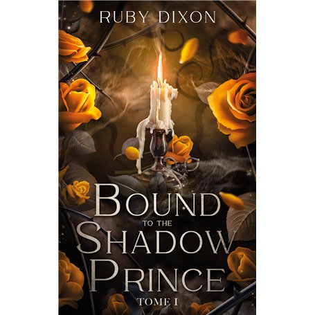 Bound to the shadow prince - Tome 1