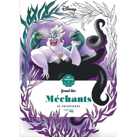 Grand bloc Disney Méchants 11,69 €