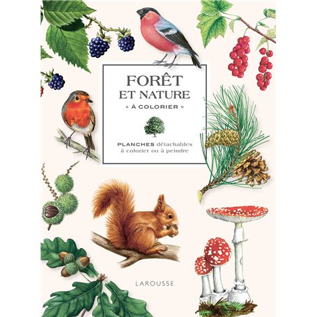 Forêt et nature à colorier 15,61 €