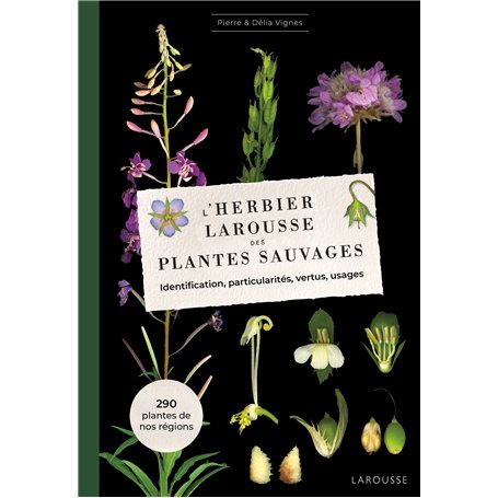L'Herbier des plantes sauvages