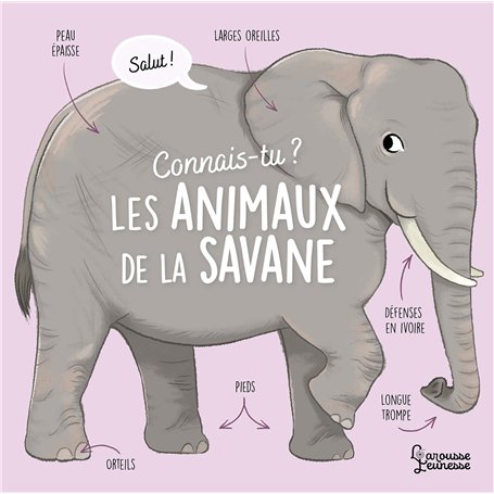 Connais-tu les animaux de la savane ?